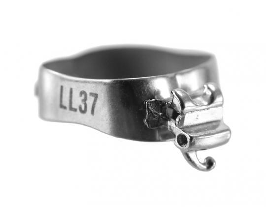Bague molaire