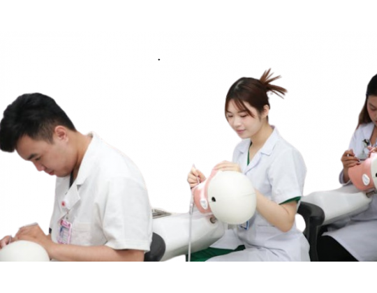 UEV Alicante première année